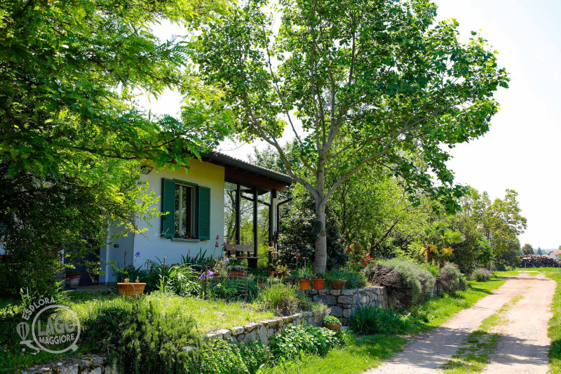 Agriturismo Al Chilometro Zero - Angera - Gallery