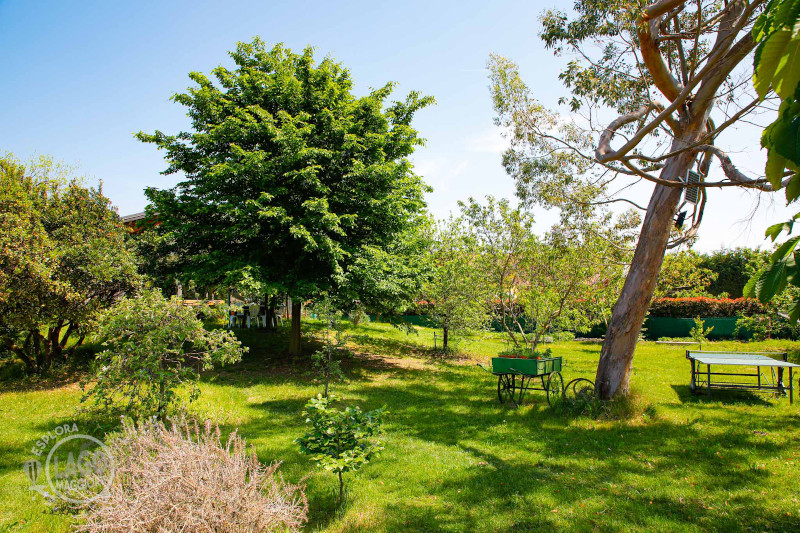 Agriturismo Al Chilometro Zero - Angera - Gallery