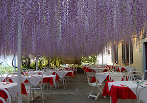 Ristorante pizzeria Santa Caterina - Pizzeria ristorante a Leggiuno Sul Lago Maggiore