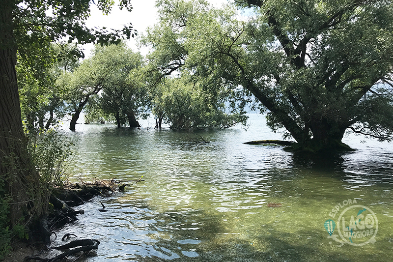 Spiaggia Sabbie d'Oro (Brebbia) - Lago Maggiore