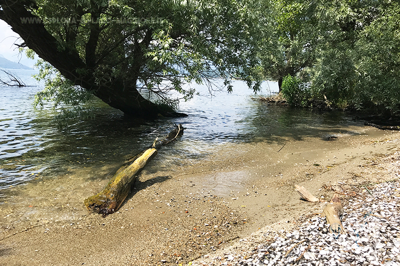 Spiaggia Sabbie d'Oro (Brebbia) - Lago Maggiore