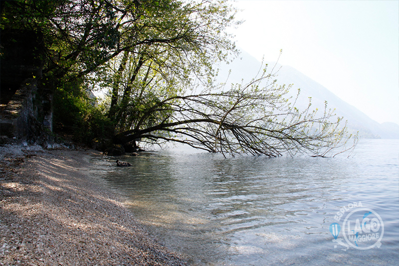 Spiaggia Le Fornaci (Caldè) - Lago Maggiore