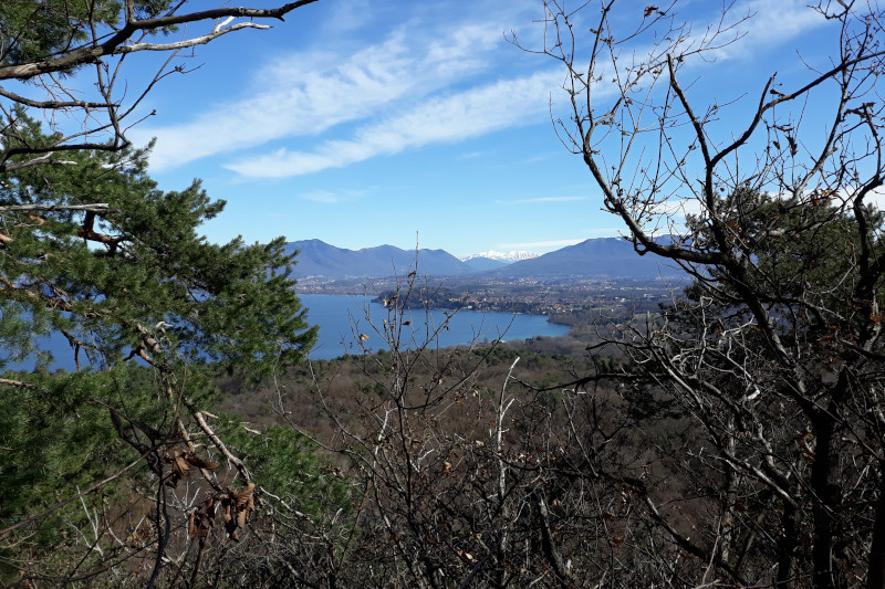 Itinerari Mtb Lago Maggiore - Sesto Calende, Taino, Barza, Ispra, Angera