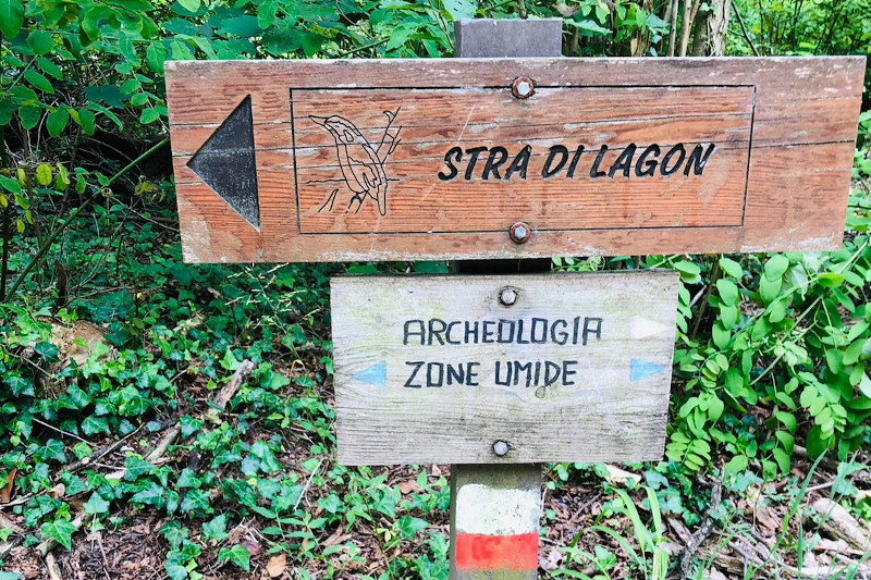 Parco naturale dei Lagoni di Mercurago - Arona