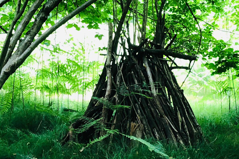 Parco naturale dei Lagoni di Mercurago - Arona