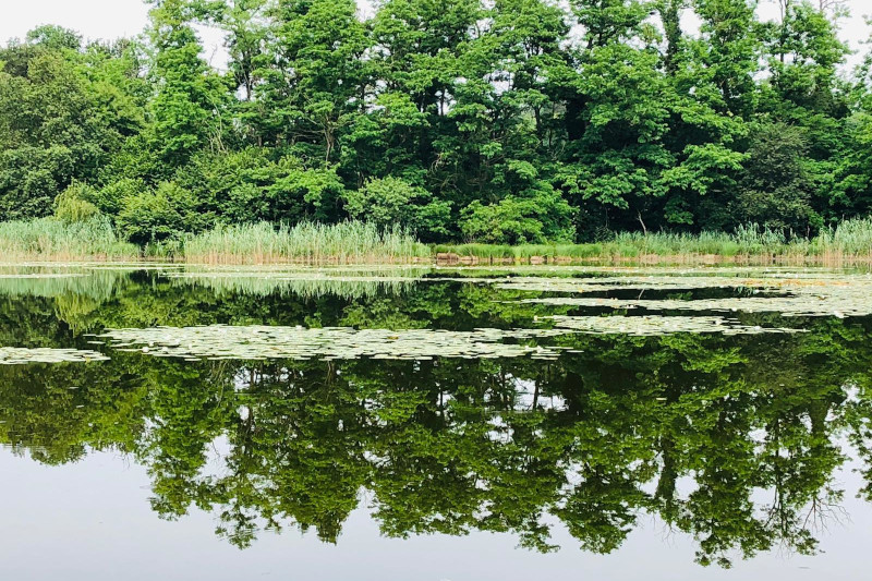 Parco naturale dei Lagoni di Mercurago - Arona